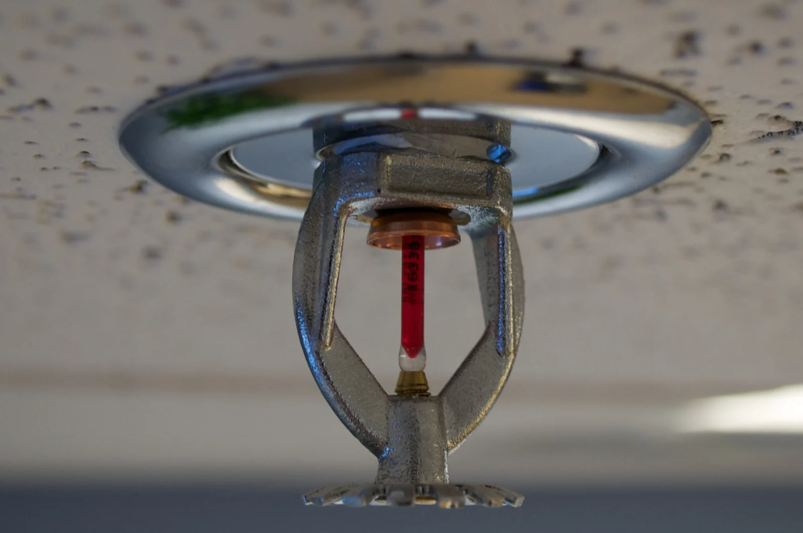 Ceiling-mounted sprinkler head